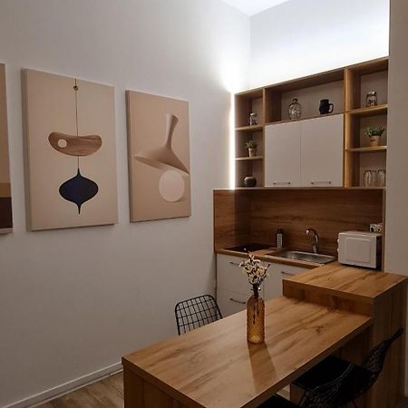 Luxury Apartment Tirana Zewnętrze zdjęcie